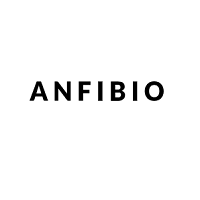 Anfibio Boots
